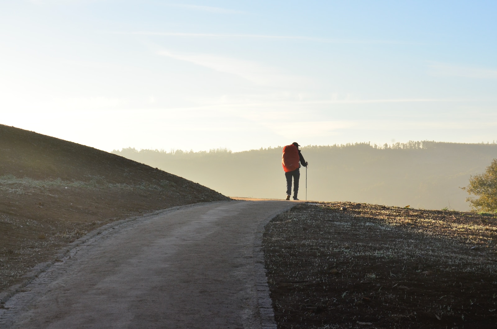 person walking on road during daytime